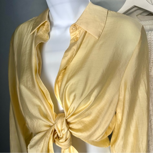 Oversized Light Yellow Button Down Shirt - Picture 10 of 11